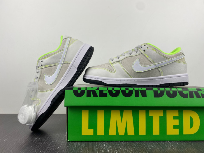 NEW Nike Dunk Low 
