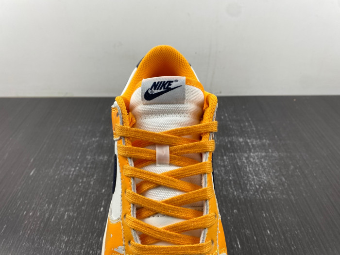 Nike Dunk Low Wear and Tear FN3418-100