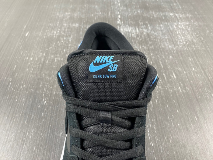 Nike SB Skateboard Dunk Low Pro Black 304292-048
