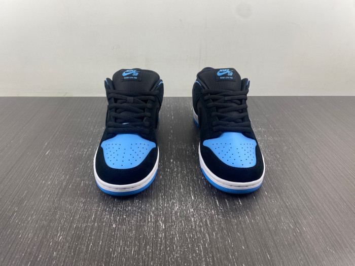 Nike SB Skateboard Dunk Low Pro Black 304292-048