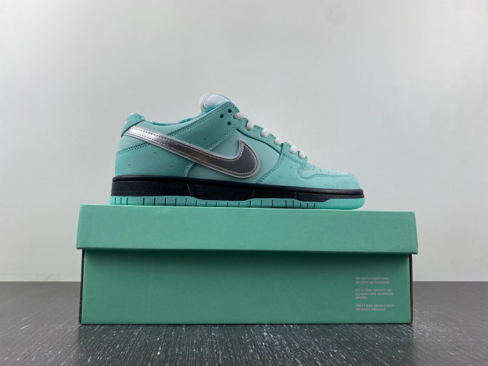 concepts x T*f*ny co. x nike sb dunk low bv1310-402