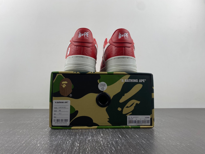 BAPE SHOE
