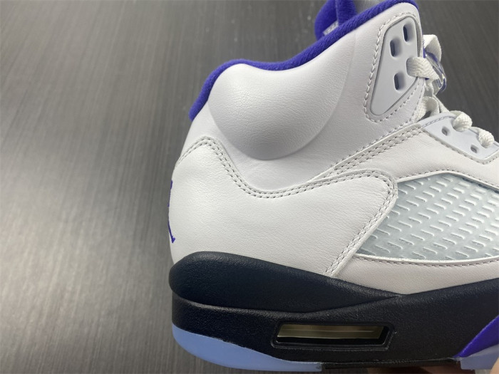 Air Jordan5 CONCORD 6666