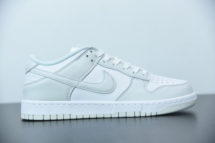 Nike Dunk Low Photon Dust DD1503-103