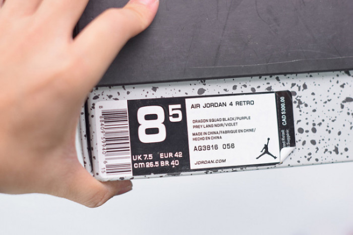 AIR JORDAN 4 RETRO NRG "RAPTOR" AQ3816-065