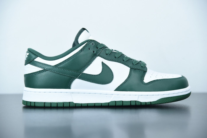 Nike Dunk Low Michigan DD1391-101
