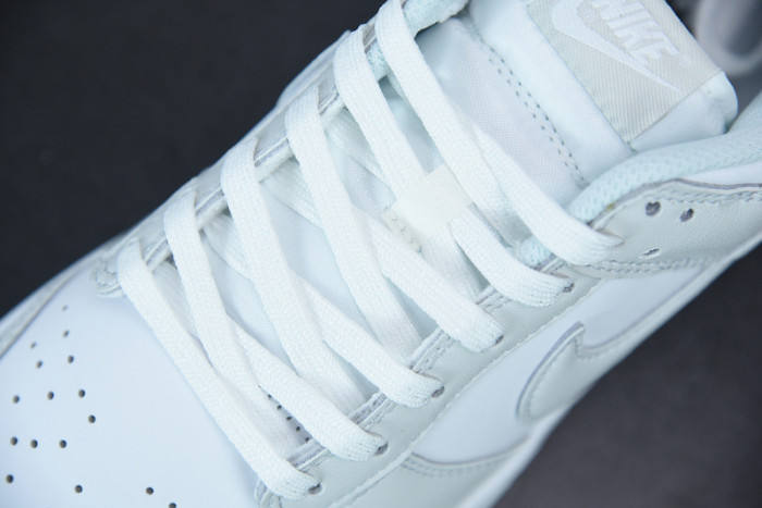 Nike Dunk Low Photon Dust DD1503-103