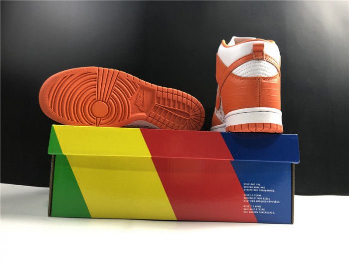 Nike SB Dunk Orange 307385-181