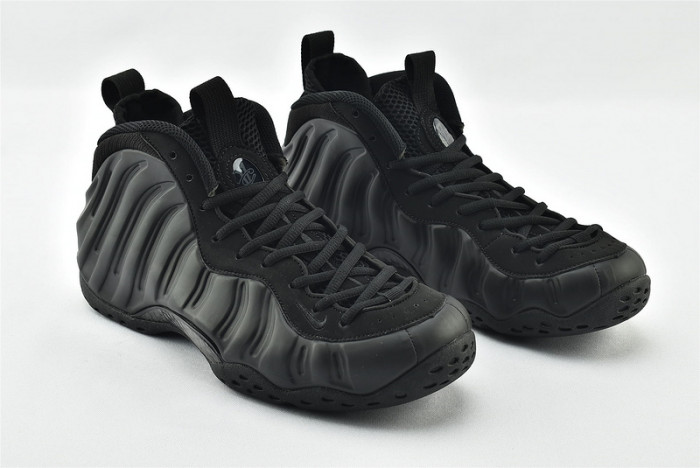Nike Air Foamposite One Anthracite 314996-001