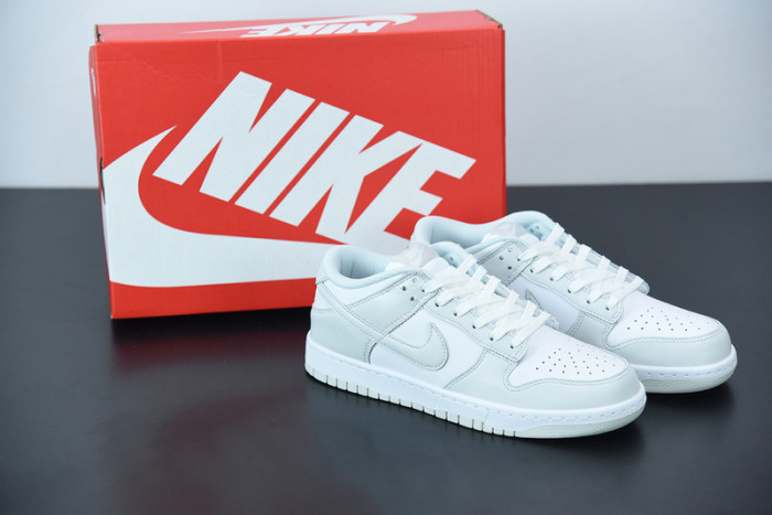 Nike Dunk Low Photon Dust DD1503-103