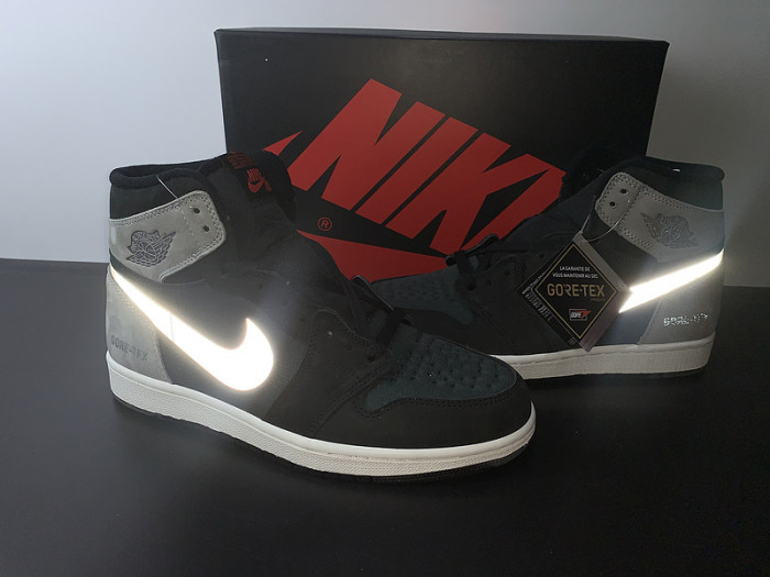 Air Jordan 1 High Element Gore-Tex 