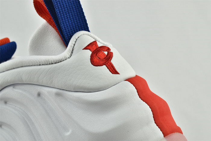 Nike Air Foamposite One USA Women