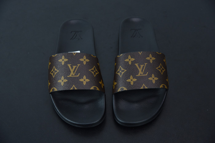 LUSV SLIDE