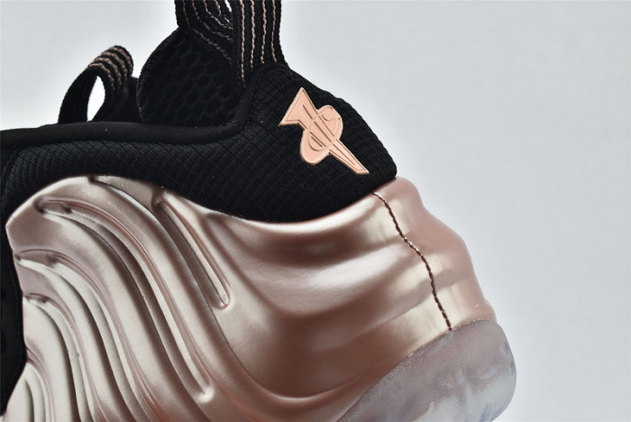 Nike Air Foamposite One Rust Pink 314996-602