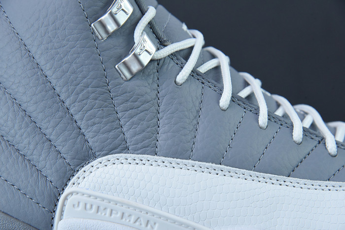 Air Jordan 12 "Stealth" CT8013-015