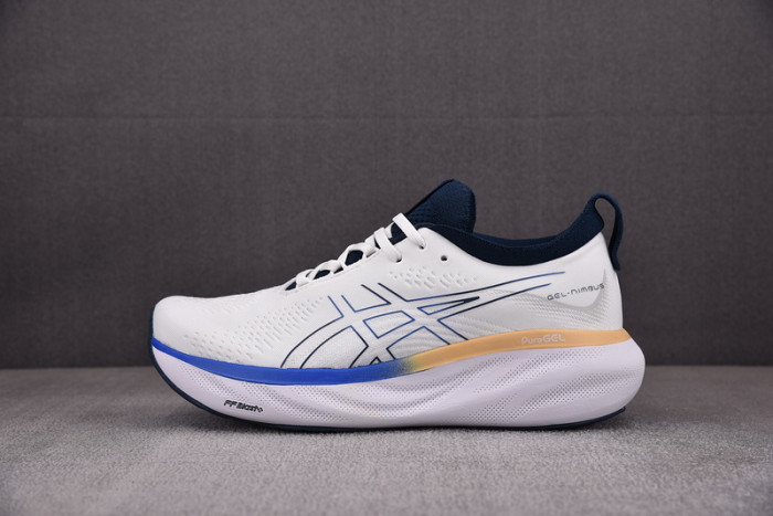 As*ic*s gel nimbus 25 