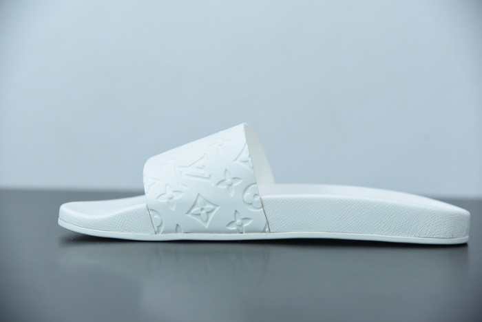 LUSV SLIDE