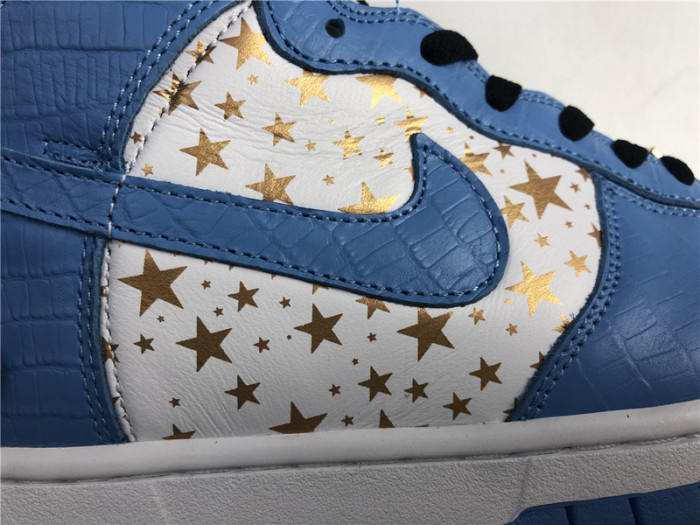 Nike SB Dunk Blue 307385-141