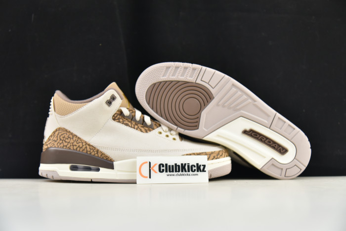 Air Jordan 3 "Palamino" CT8532-102